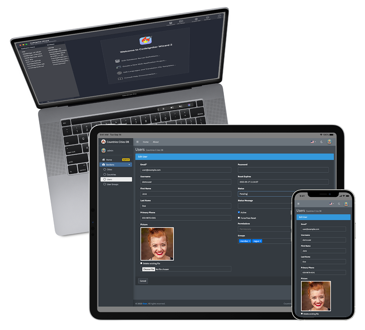 Temel Yönetim Paneli (CRUD)